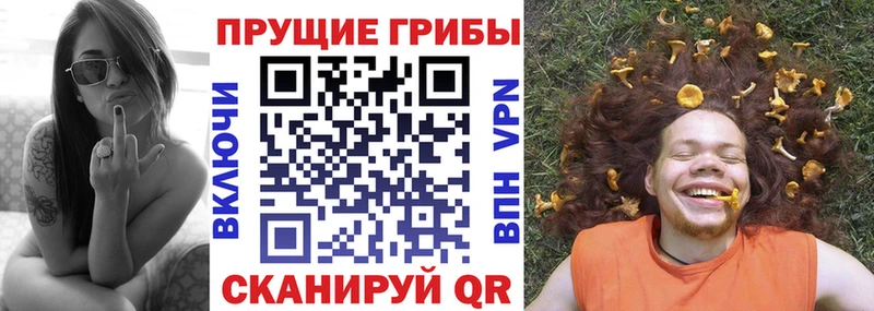 купить   Заполярный  Галлюциногенные грибы мухоморы 